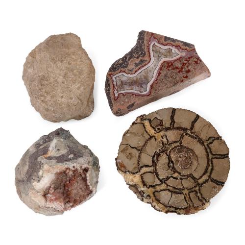 Collection of fossilised ammonite, agate, pink amethyst and coral fossil